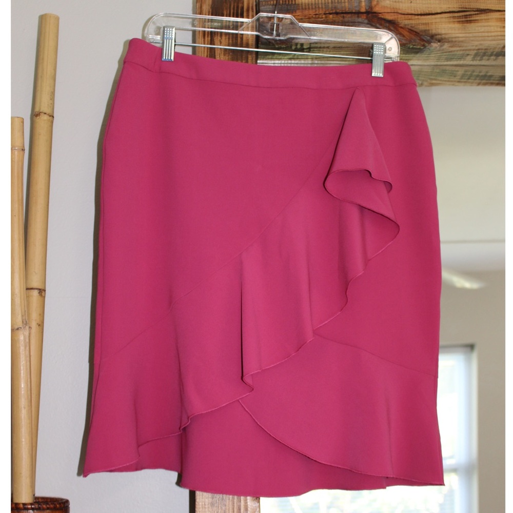 NWOT Ann Taylor Pink Skirt